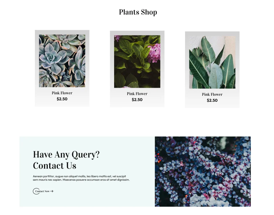 Floraflo - Flower & Bokeh Shop detailed screenshot 5 engineered by Jay Singh Chauhan