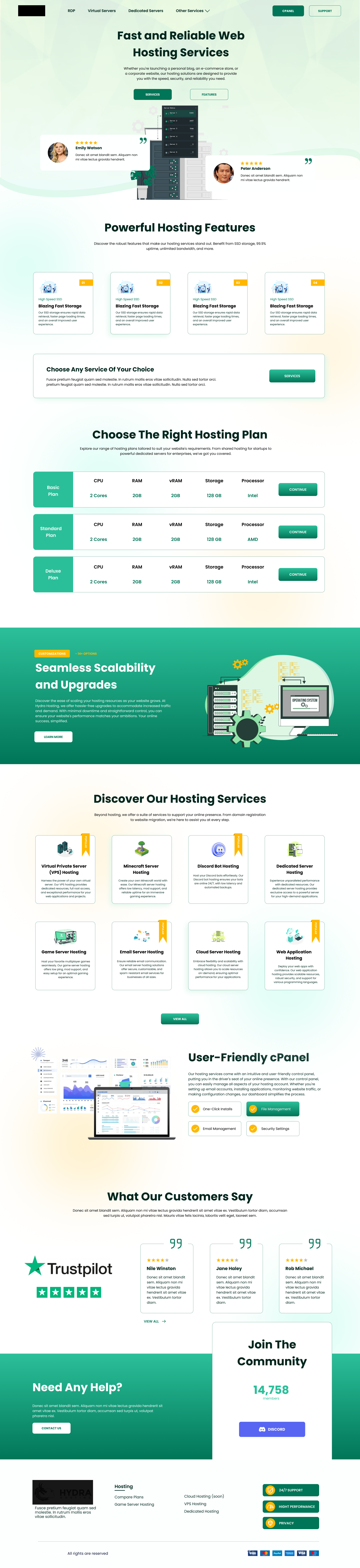 Hydra Hosting - Web design screen 2